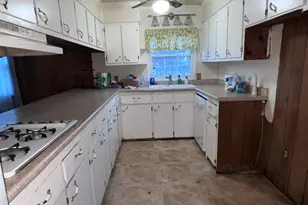 251 N McDonald St, Ludowici, GA 31316 - Photo 11
