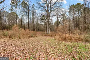 1330 Dunn Rd, Molena, GA 30258 - Photo 47