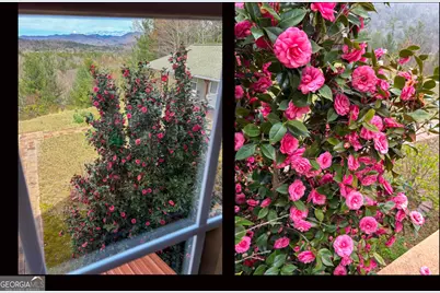 27 Sky High Drive, Blairsville, GA 30512 - Photo 65