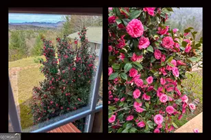 27 Sky High Dr, Blairsville, GA 30512 - Photo 65