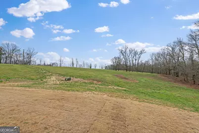 340 Happy Hollow Road, Roopville, GA 30170 - Photo 19