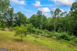 387 Lauren Marie Dr, Braselton, GA 30517 - Photo 63