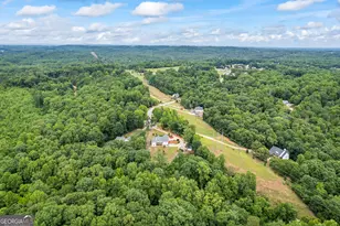 387 Lauren Marie Dr, Braselton, GA 30517 - Photo 59