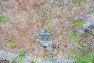 80 Mountain Mint Dr, Big Canoe, GA 30143 - Photo 53