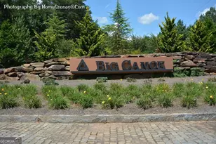 80 Mountain Mint Dr, Big Canoe, GA 30143 - Photo 67