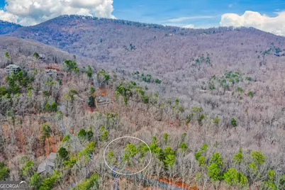 80 Mountain Mint Drive, Big Canoe, GA 30143 - Photo 49