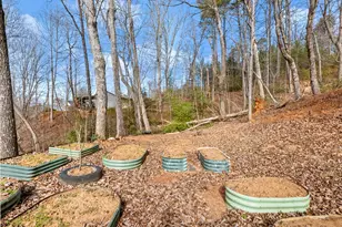 221 Grand View Dr, Cleveland, GA 30528 - Photo 61