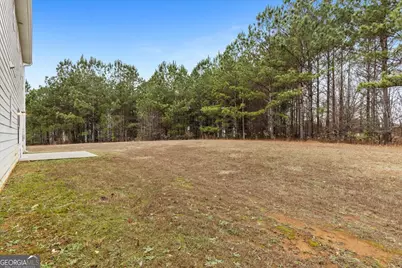 269 Makenna Drive, Hampton, GA 30228 - Photo 39