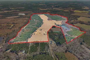 2001 Tru Fail Crossing, Portal, GA 30450 - Photo 1