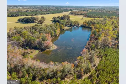 2001 Tru Fail Crossing, Portal, GA 30450 - Photo 3