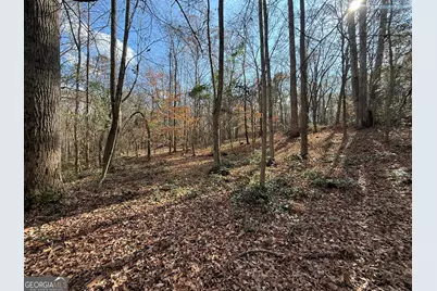 344 Mitchell Road, Maysville, GA 30558 - Photo 25