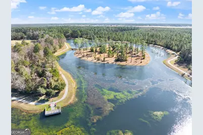 423 Belmont Circle, Brunswick, GA 31525 - Photo 43