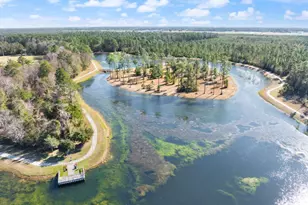 423 Belmont Cir, Brunswick, GA 31525 - Photo 43