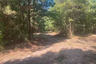 299 S L St, Pine Mountain, GA 31823 - Photo 31