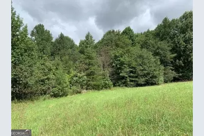 7322 Tribble Gap Road, Alto, GA 30510 - Photo 5