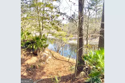745 St Marys River Bluff Road, Saint George, GA 31562 - Photo 27