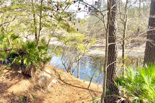 745 St Marys River Bluff Rd, Saint George, GA 31562 - Photo 27