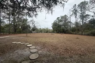 745 St Marys River Bluff Rd, Saint George, GA 31562 - Photo 3