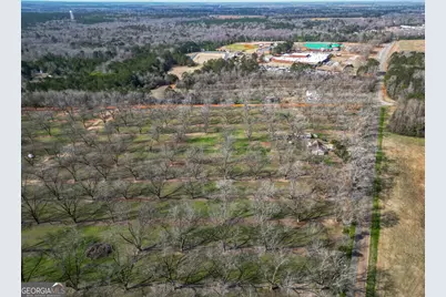 0 Old Hwy 19 South, Ellaville, GA 31806 - Photo 5