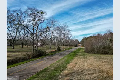 0 Old Hwy 19 South, Ellaville, GA 31806 - Photo 3