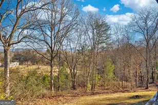 716 Lakeview Cir, Morganton, GA 30560 - Photo 43