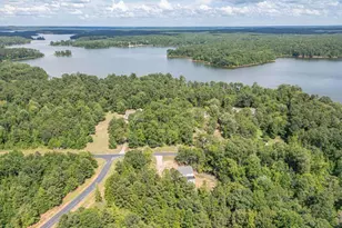 1021 Pointe S, Tignall, GA 30668 - Photo 45