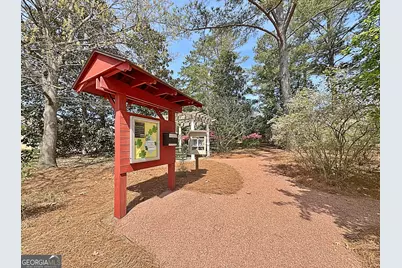 226 Collierstown Way, Peachtree City, GA 30269 - Photo 63