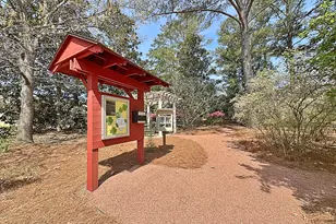 226 Collierstown Way, Peachtree City, GA 30269 - Photo 63