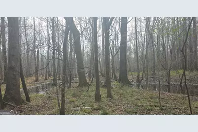 7367 Crest Highway, Molena, GA 30258 - Photo 3