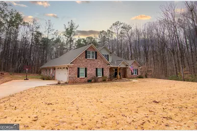 3337 Lower Blue Springs Road, Hamilton, GA 31811 - Photo 3