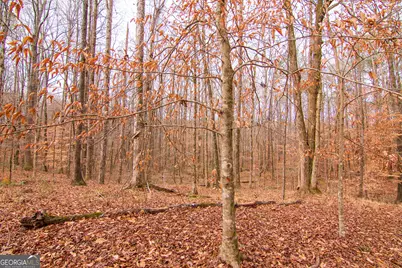 3337 Lower Blue Springs Road, Hamilton, GA 31811 - Photo 35