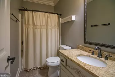 3337 Lower Blue Springs Road, Hamilton, GA 31811 - Photo 29