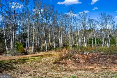 0 Glass Bridge Road, Lagrange, GA 30240 - Photo 25