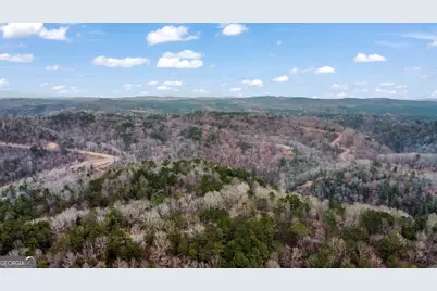 Lot 1694 Shade Tree Drive, Talking Rock, GA 30175 - Photo 9