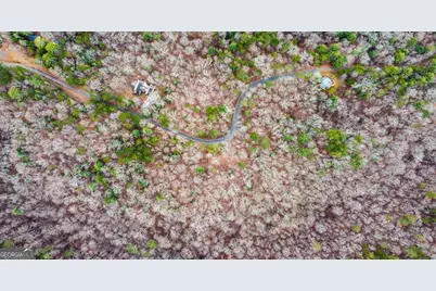 Lot 1694 Shade Tree Drive, Talking Rock, GA 30175 - Photo 7