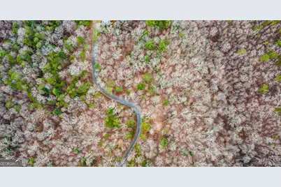 Lot 1694 Shade Tree Drive, Talking Rock, GA 30175 - Photo 3