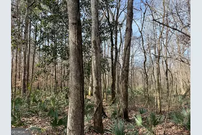 1888 US 23, Cochran, GA 31014 - Photo 83