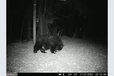 1888 US 23, Cochran, GA 31014 - Photo 29