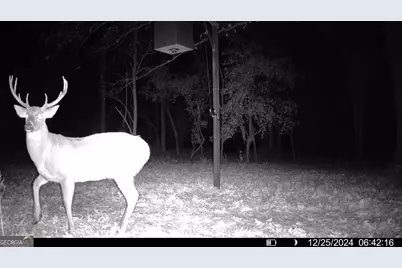 1888 US 23, Cochran, GA 31014 - Photo 31