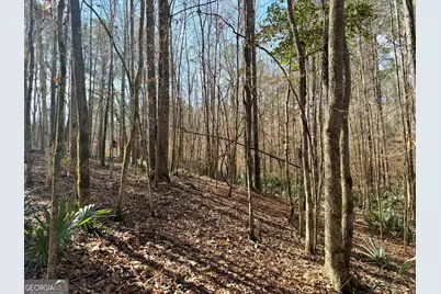 1888 US 23, Cochran, GA 31014 - Photo 93