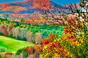 416 Undisclosed Dr, Morganton, GA 30560 - Photo 7