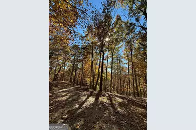 416 Undisclosed Drive, Morganton, GA 30560 - Photo 37