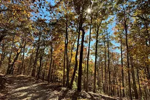 416 Undisclosed Dr, Morganton, GA 30560 - Photo 37