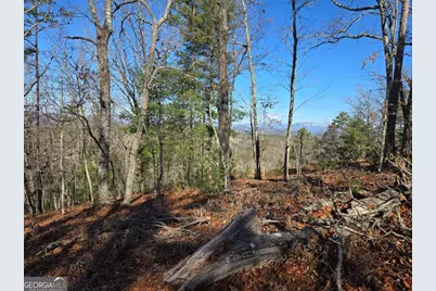 416 Undisclosed Drive, Morganton, GA 30560 - Photo 35