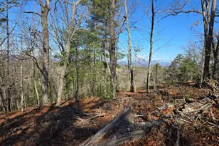 416 Undisclosed Dr, Morganton, GA 30560 - Photo 35