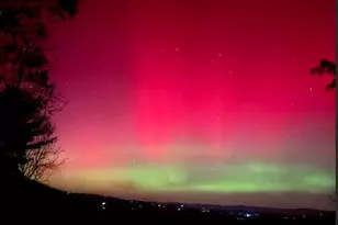 416 Undisclosed Dr, Morganton, GA 30560 - Photo 9