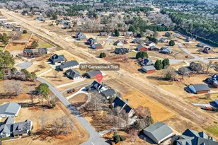 357 Canvasback Trail, Locust Grove, GA 30248 - Photo 3