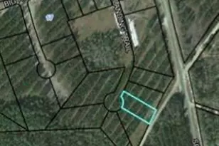Lot 35 Landing Trail, Waynesville, GA 31566 - Photo 1