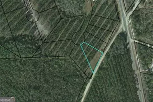 Lot 34 Landing Trail, Waynesville, GA 31566 - Photo 1