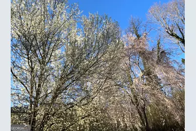 256 Black Rock Mountain Parkway, Clayton, GA 30525 - Photo 37